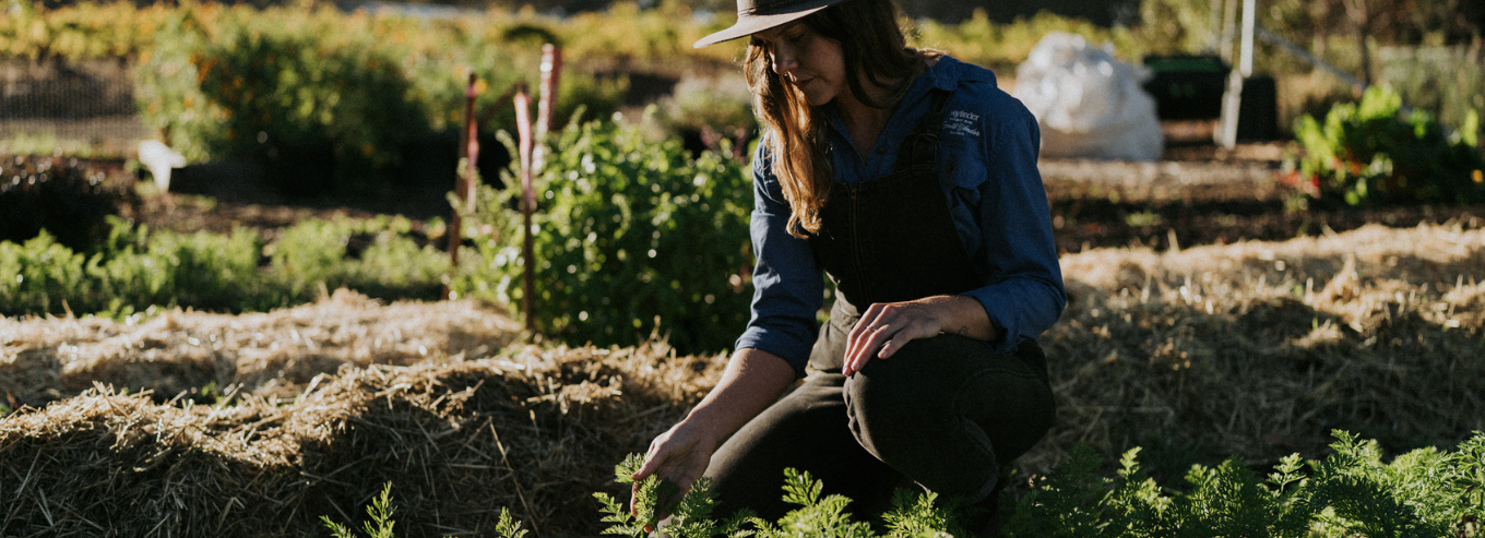 A woman at Wayfinder vineryard 